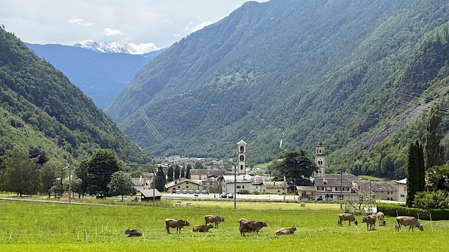 Bernina 12