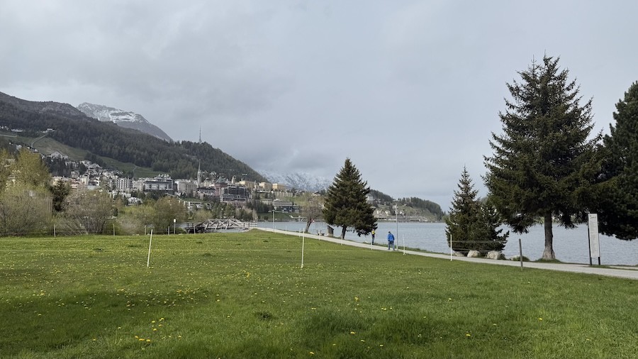 Bernina 23