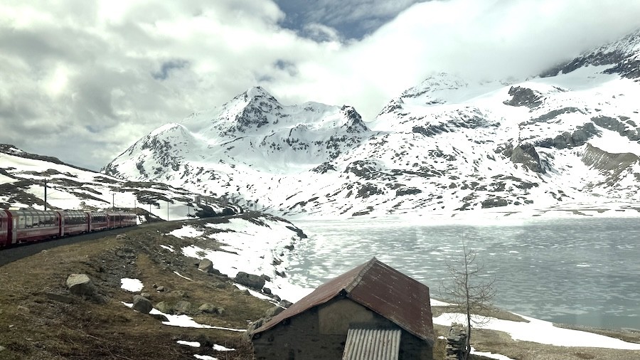 Bernina 7