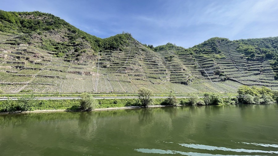 Les vignes de la Moselle