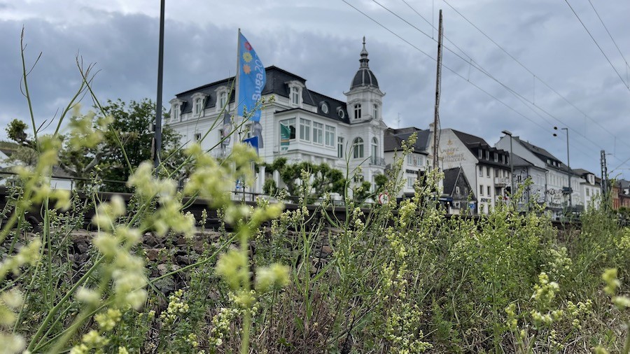 L'architecture en bord de Rhin