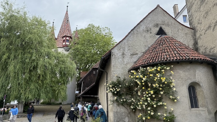 Lindau 3