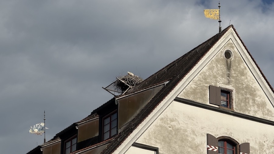 Wangen 5