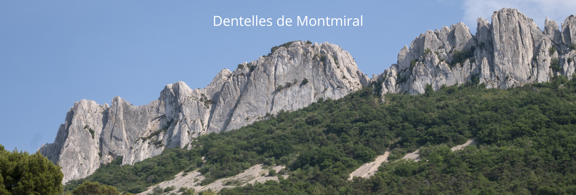 Dentelles de Montmirail