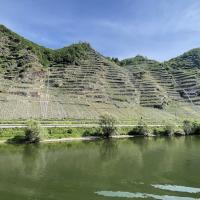 Les vignes de la Moselle