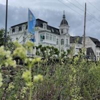 L'architecture en bord de Rhin