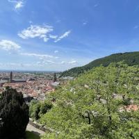 Panorama sur la ville d' Heidelberg